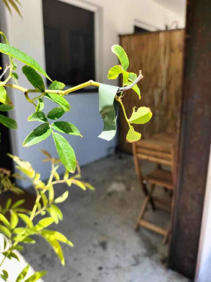 Casale Orgogliosa Hotel San Vito Chietino Bagian luar foto